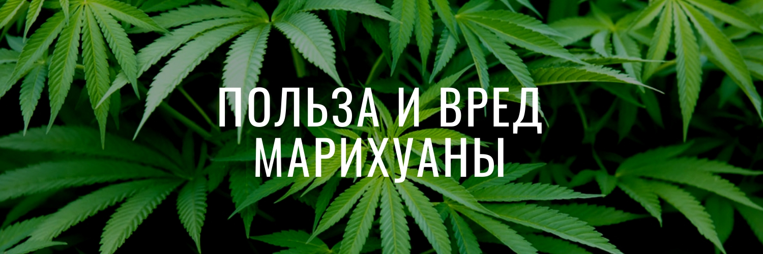 Почему худеют от марихуаны семена ру интернет магазин москва
